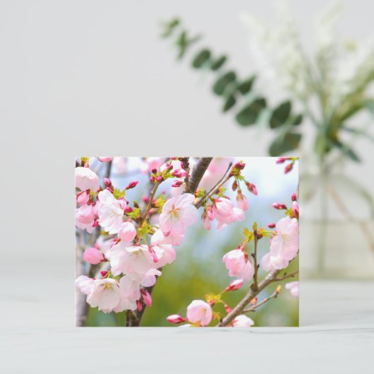 Cherry Blossom close Briefkaart (Staand voorkant)