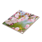 Cherry Blossom close Tegeltje (Zijkant)
