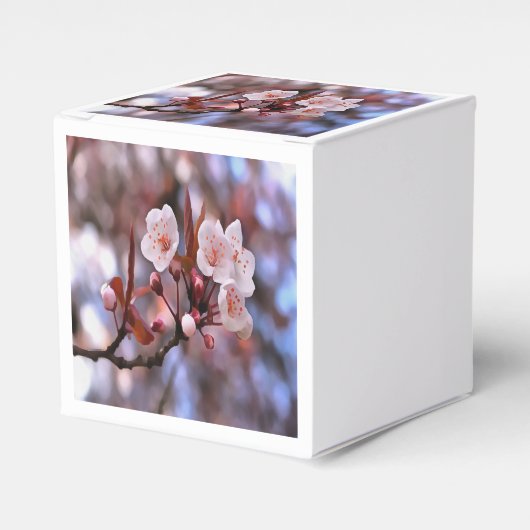 Cherry Blossom Cluster met roze en blauw Bedankdoosjes (Voorkant Zijde)