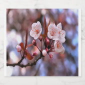 Cherry Blossom Cluster met roze en blauw Bier Etiket (Enkel label)
