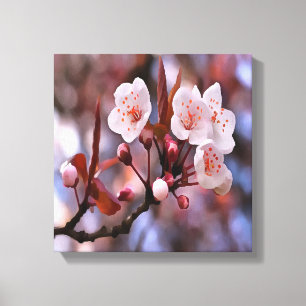 Cherry Blossom Cluster met roze en blauw Canvas Afdruk