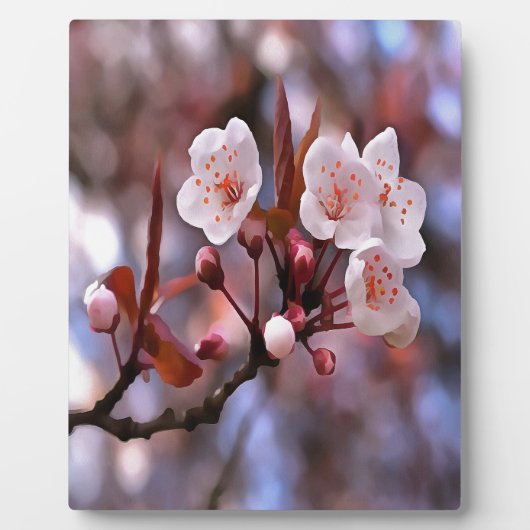Cherry Blossom Cluster met roze en blauw Fotoplaat (Voorkant)