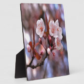 Cherry Blossom Cluster met roze en blauw Fotoplaat (Zijkant)