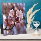 Cherry Blossom Cluster met roze en blauw Fotoplaat (Zijkant)