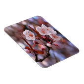 Cherry Blossom Cluster met roze en blauw Magneet (Rechterzijde)