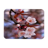 Cherry Blossom Cluster met roze en blauw Magneet (Horizontaal)