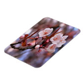 Cherry Blossom Cluster met roze en blauw Magneet (Linkerzijde)