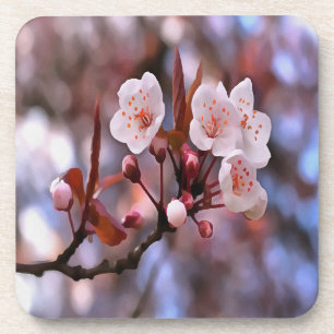 Cherry Blossom Cluster met roze en blauw Onderzetter