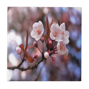 Cherry Blossom Cluster met roze en blauw Tegeltje