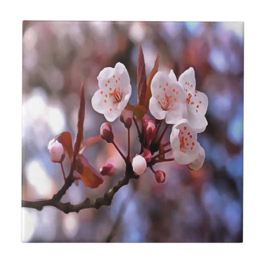Cherry Blossom Cluster met roze en blauw Tegeltje (Voorkant)