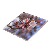 Cherry Blossom Cluster met roze en blauw Tegeltje (Zijkant)