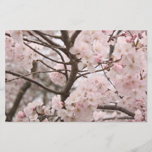 Cherry Blossom Craft Paper Briefpapier (Voorkant)