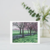 Cherry Blossom. De Meadows, Edinburgh Pola.B.Alex Feestdagenkaart (Staand voorkant)