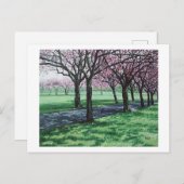 Cherry Blossom. De Meadows, Edinburgh Pola.B.Alex Feestdagenkaart (Voorkant / Achterkant)
