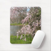 Cherry Blossom door de Muismat water (Met muis)