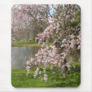 Cherry Blossom door de Muismat water