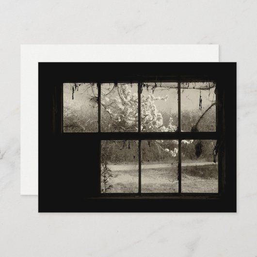 Cherry Blossom door een Old Barn Window Briefkaart (Voorkant / Achterkant)