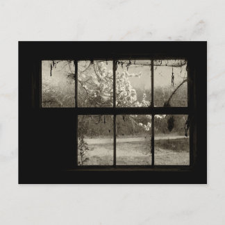 Cherry Blossom door een Old Barn Window Briefkaart