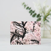 Cherry Blossom Edited Briefkaart (Staand voorkant)