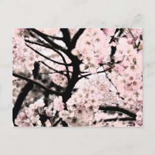 Cherry Blossom Edited Briefkaart