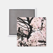 Cherry Blossom Edited Magneet (Voorkant / Achterkant)