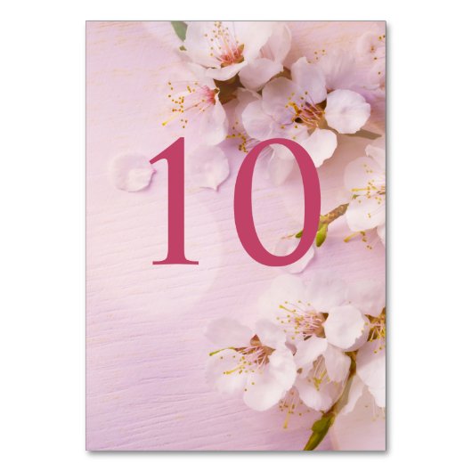 Cherry Blossom Elegant Table Numbers for Wedding Kaart (Achterkant)