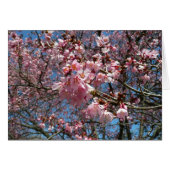 Cherry Blossom en Bee Pink Spring Flowers (Voorkant Horizontaal)