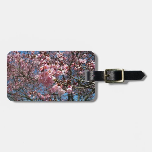 Cherry Blossom en Bee Pink Spring Flowers Bagagelabel (Voorkant horizontaal)