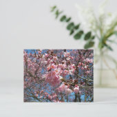 Cherry Blossom en Bee Pink Spring Flowers Briefkaart (Staand voorkant)