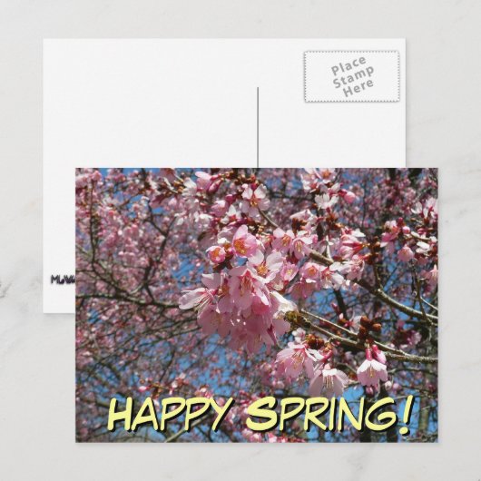 Cherry Blossom en Bee Pink Spring Flowers Briefkaart (Voorkant / Achterkant)