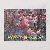 Cherry Blossom en Bee Pink Spring Flowers Briefkaart (Voorkant)