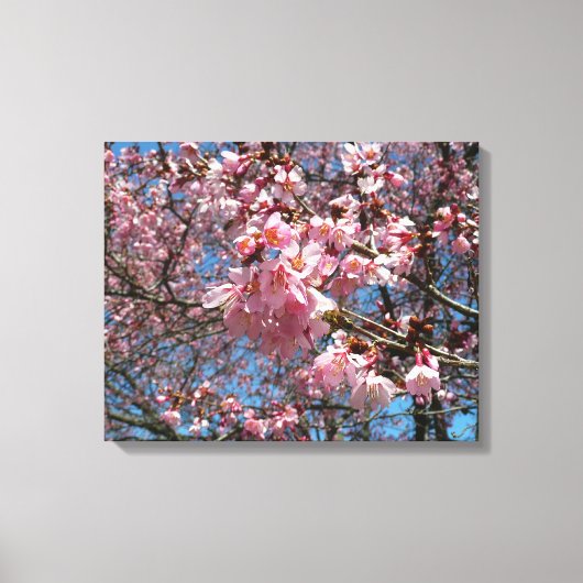Cherry Blossom en Bee Pink Spring Flowers Canvas Afdruk (Voorkant)