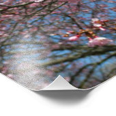 Cherry Blossom en Bee Pink Spring Flowers Foto Afdruk (Hoek)