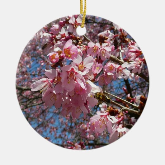 Cherry Blossom en Bee Pink Spring Flowers Keramisch Ornament (Voorkant)