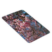 Cherry Blossom en Bee Pink Spring Flowers Magneet (Rechterzijde)