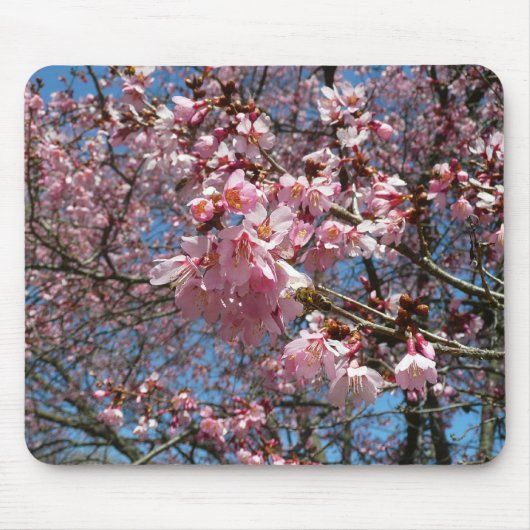Cherry Blossom en Bee Pink Spring Flowers Muismat (Voorkant)