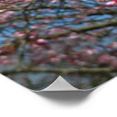 Cherry Blossom en Bee Pink Spring Flowers Poster (Hoek)