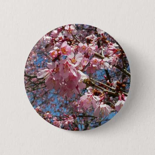 Cherry Blossom en Bee Pink Spring Flowers Ronde Button 5,7 Cm (Voorkant)