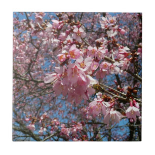 Cherry Blossom en Bee Pink Spring Flowers Tegeltje