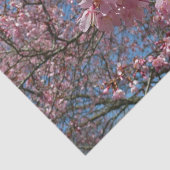 Cherry Blossom en Bee Pink Spring Flowers Tissuepapier (Detail)