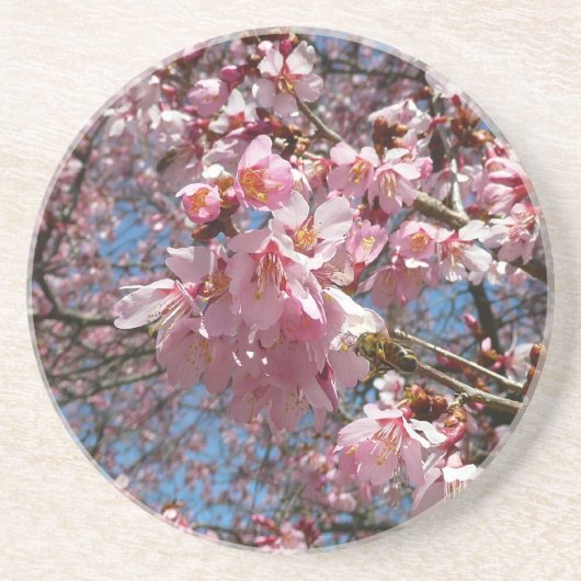 Cherry Blossom en Bee Pink Spring Flowers Zandsteen Onderzetter (Voorkant)