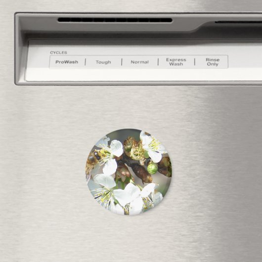 Cherry Blossom en bijen Magneet (Insitu (Vaatwasser))