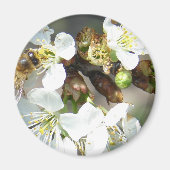 Cherry Blossom en bijen Magneet (Voorkant)