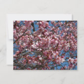 Cherry Blossom en Blue Sky Spring Floral (Voorkant)