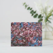 Cherry Blossom en Blue Sky Spring Floral (Staand voorkant)