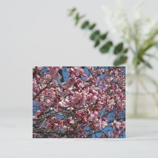 Cherry Blossom en Blue Sky Spring Floral (Staand voorkant)
