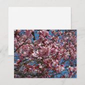 Cherry Blossom en Blue Sky Spring Floral (Voorkant / Achterkant)