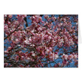 Cherry Blossom en Blue Sky Spring Floral (Voorkant Horizontaal)