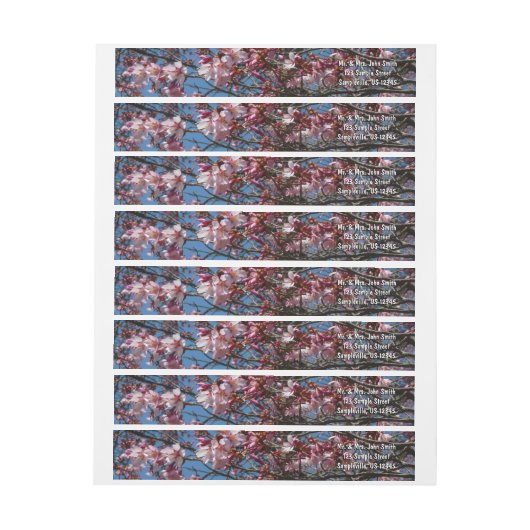 Cherry Blossom en Blue Sky Spring Floral (Vel)