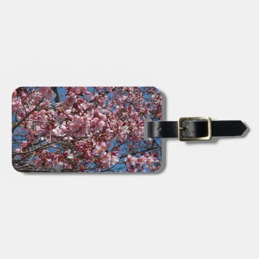 Cherry Blossom en Blue Sky Spring Floral Bagagelabel (Voorkant horizontaal)